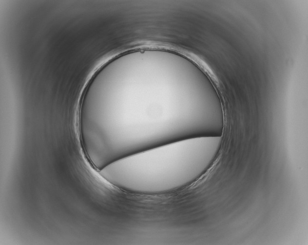 X0000113251247200909100936