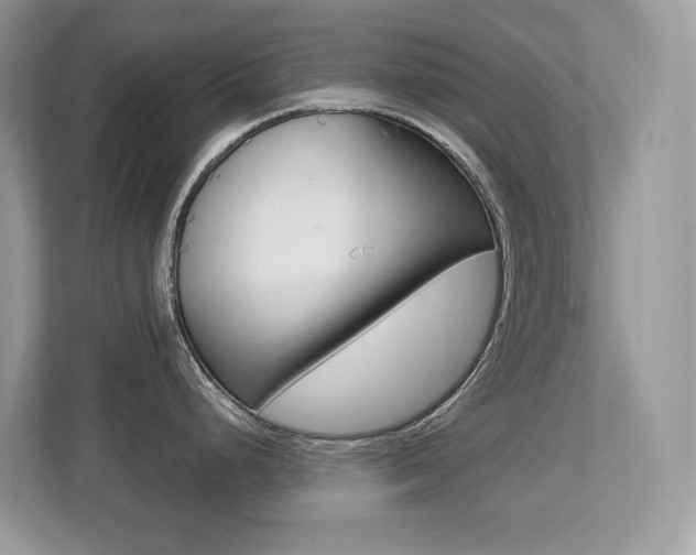 X0000113251248200909100936