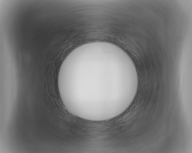 X0000113251249200909100936