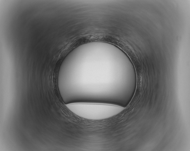 X0000113251250200909100936