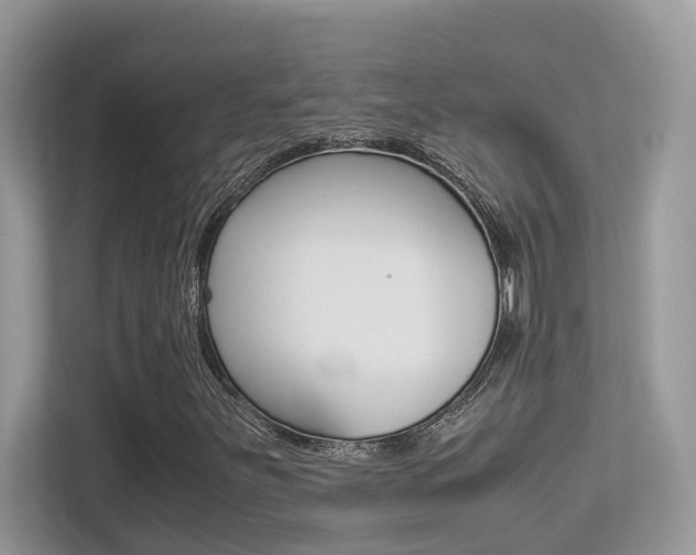 X0000113251251200909100936