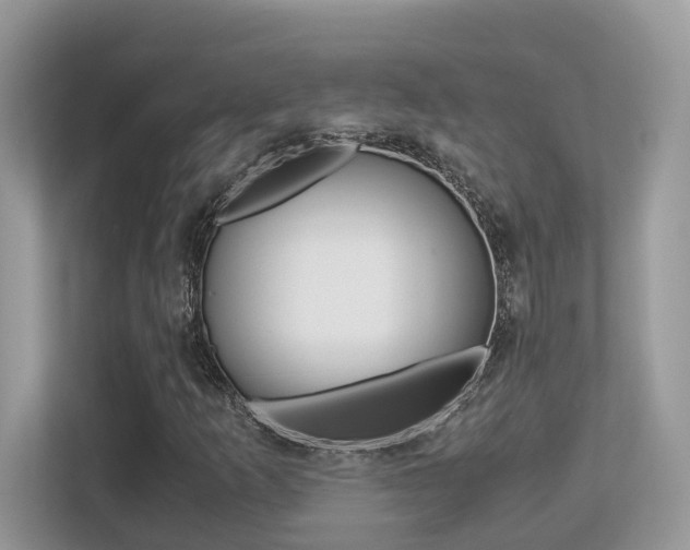 X0000113251253200909100936