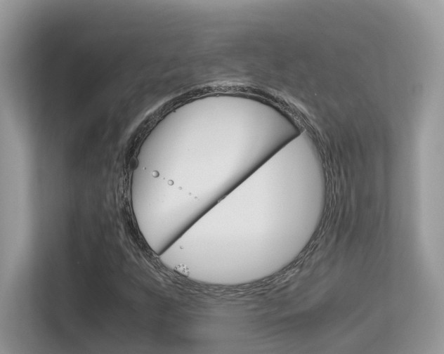 X0000113251255200909100936