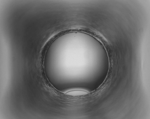 X0000113251256200909100936