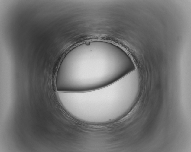X0000113251257200909100936