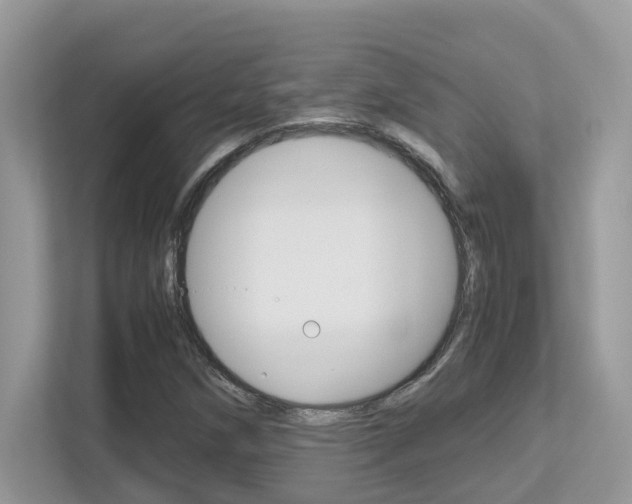 X0000113251258200909100936