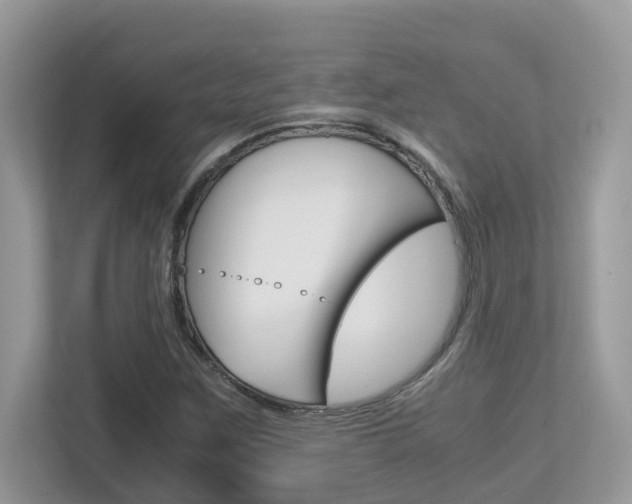X0000113251259200909100936