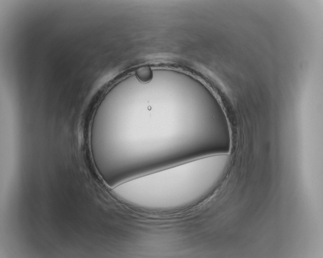 X0000113251261200909100936