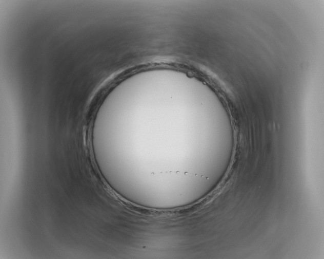 X0000113251262200909100936