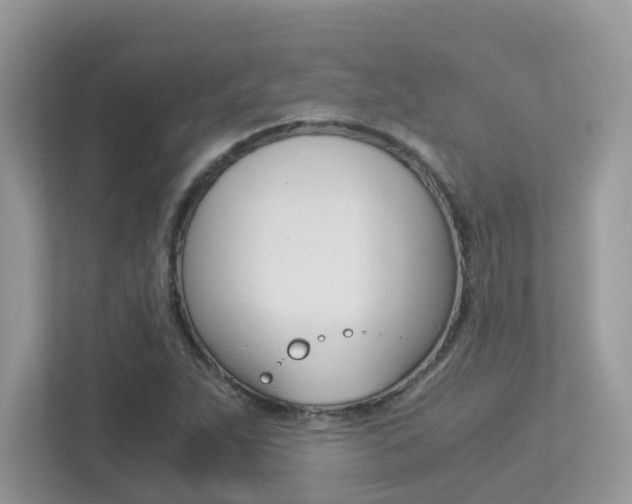 X0000113251263200909100936