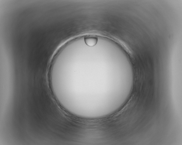 X0000113251264200909100936
