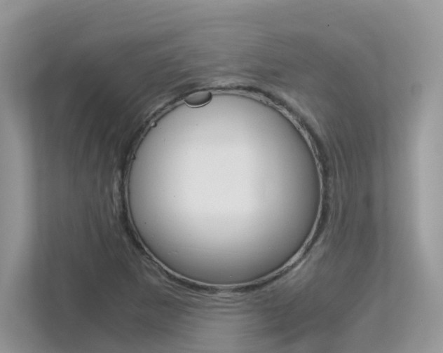 X0000113251265200909100936