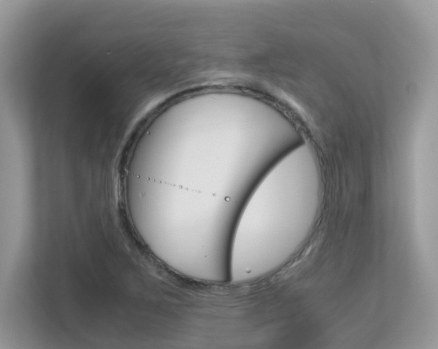 X0000113251267200909100935