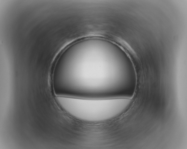 X0000113251268200909100935