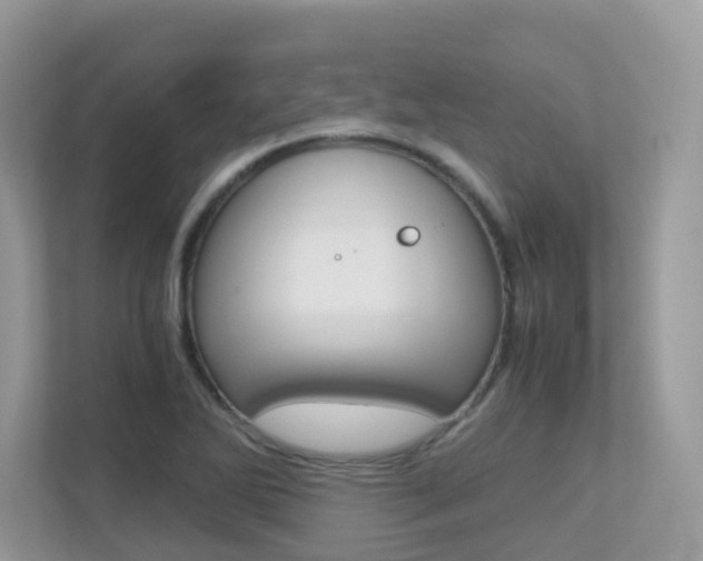 X0000113251270200909100935