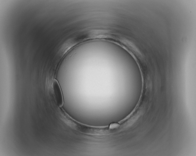 X0000113251273200909100935