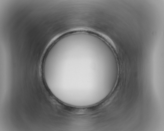 X0000113251279200909100935