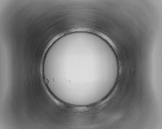 X0000113251282200909100935