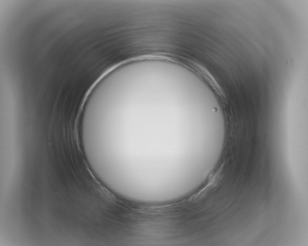 X0000113251284200909100935