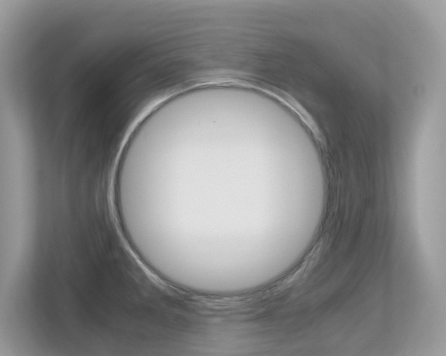 X0000113251285200909100935