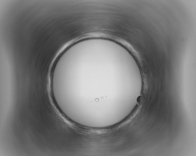 X0000113251286200909100935
