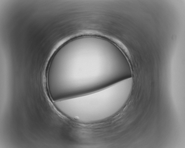 X0000113251287200909100935