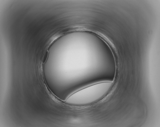 X0000113251289200909100935