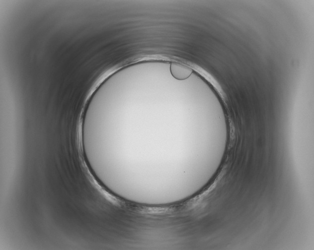 X0000113251290200909100935