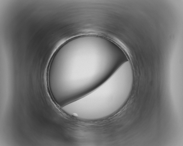 X0000113251291200909100935