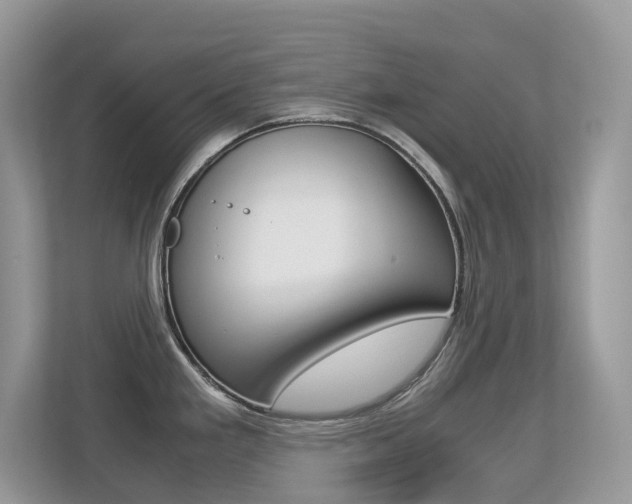 X0000113251293200909100935