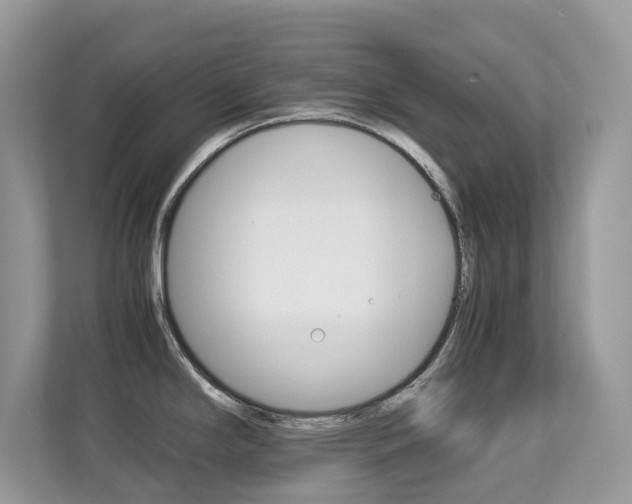 X0000113251294200909100935