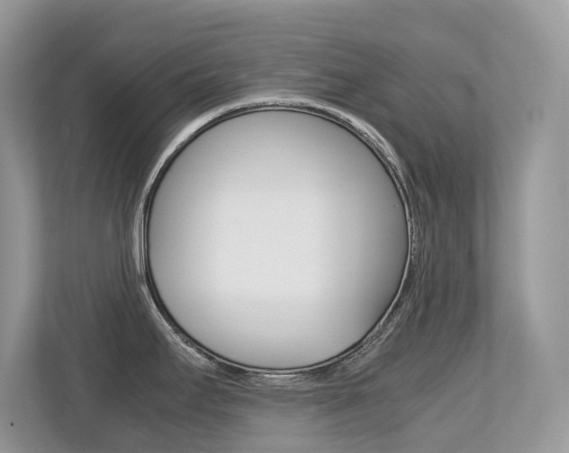 X0000113251295200909100935