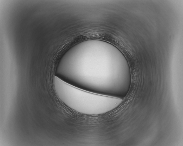X0000113251297200909100934