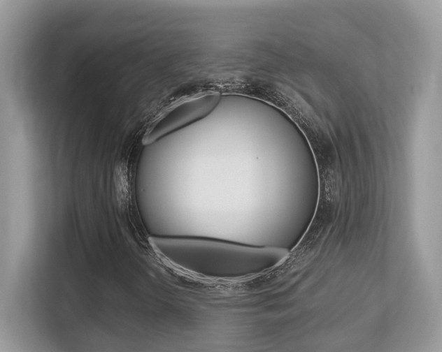X0000113251298200909100934