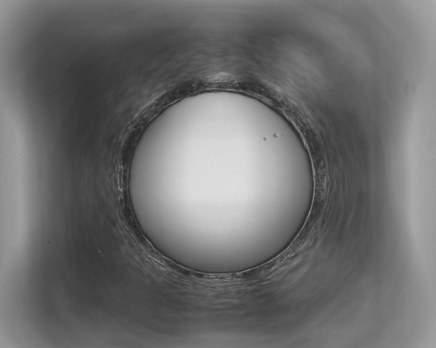 X0000113251301200909100935