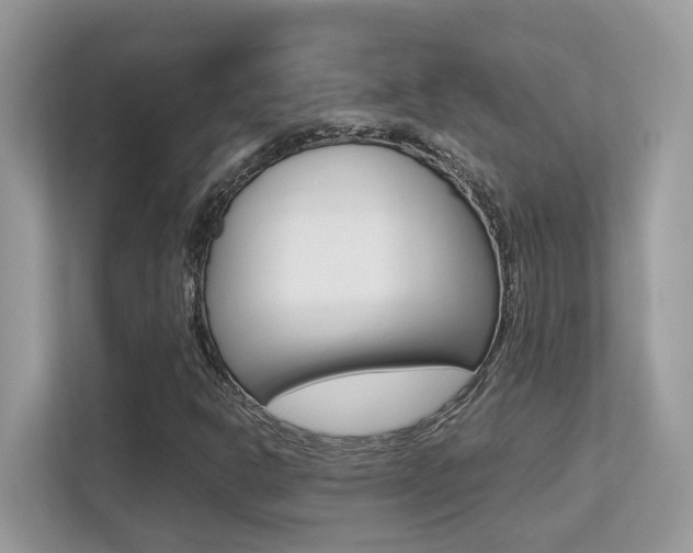 X0000113251302200909100935