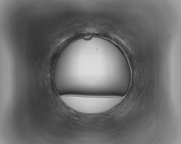X0000113251303200909100935