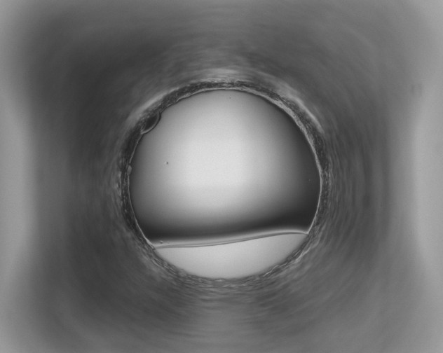X0000113251304200909100935