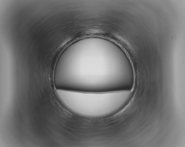 X0000113251305200909100935