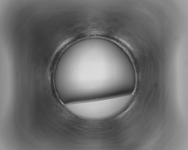X0000113251309200909100935