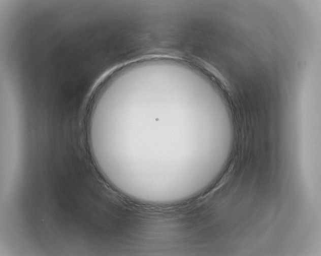 X0000113251310200909100935