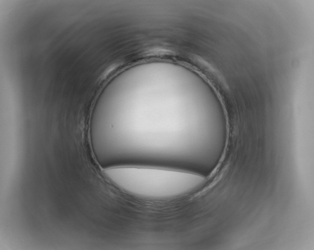 X0000113251313200909100935