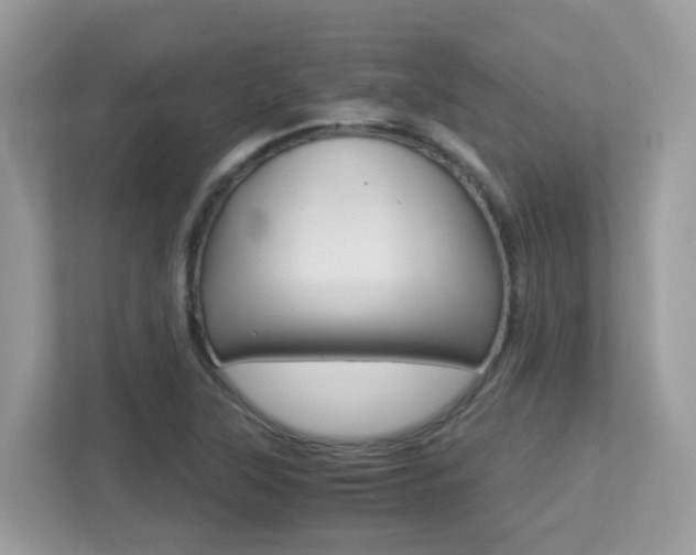 X0000113251315200909100935