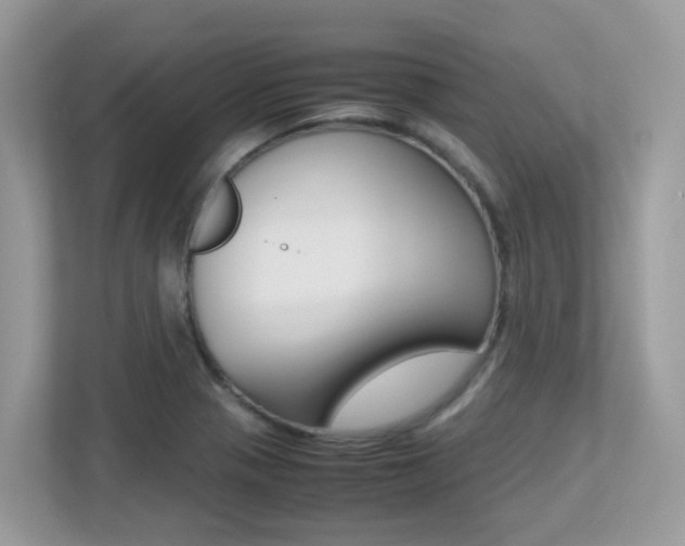 X0000113251321200909100935