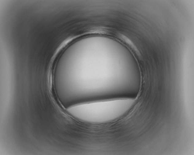 X0000113251323200909100935