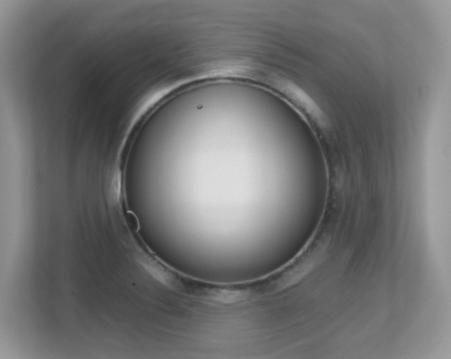 X0000113251324200909100935