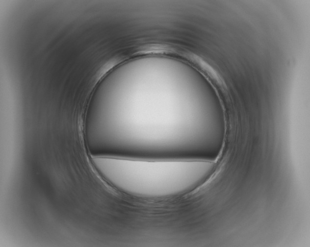 X0000113251329200909100935