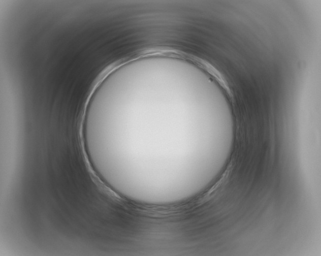 X0000113251330200909100935