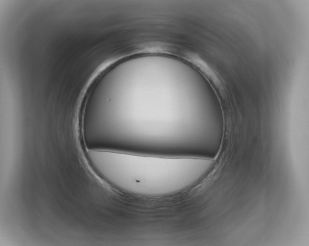 X0000113251331200909100935