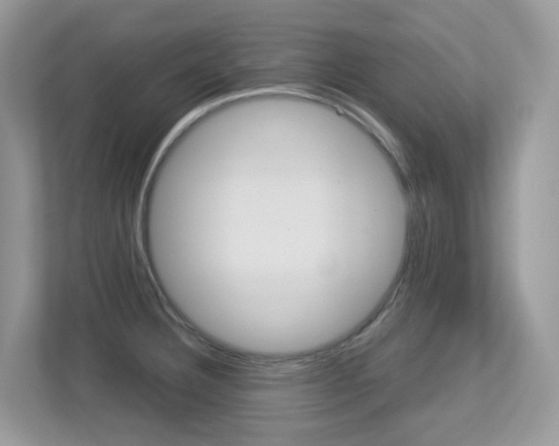 X0000113251332200909100935